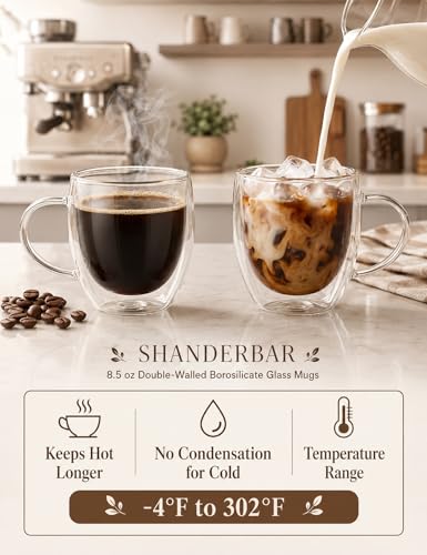 8.5oz Double Walled Glass Coffee Mugs with Handles (4 Count)