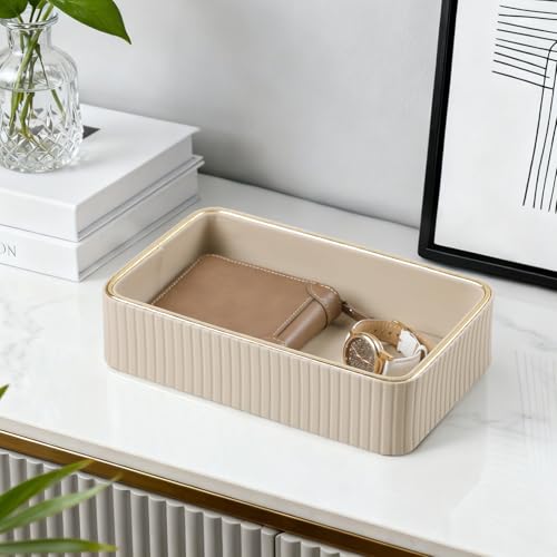 Desk Organizer Tray