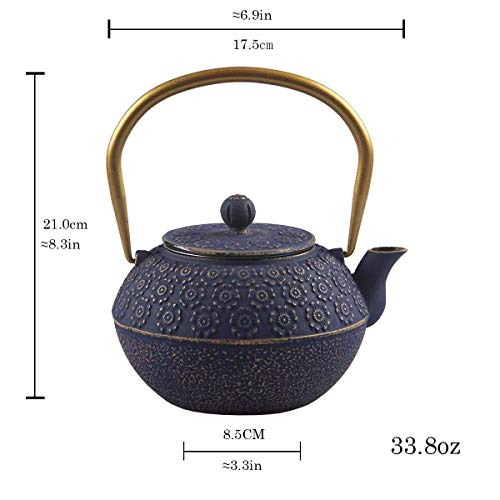 Teapot Cast Iron Tea Kettle for Stovetop Safe Coated with Enameled Interior