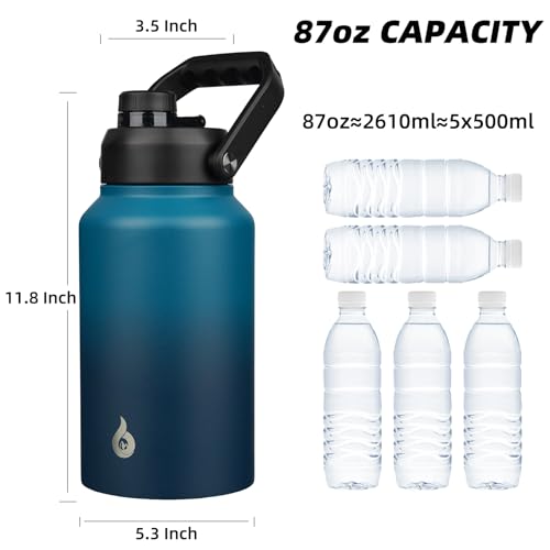 87oz Insulated Water Bottle