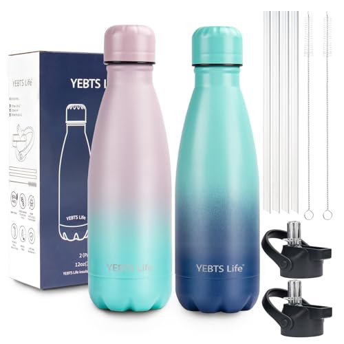 Insulated Water Bottle (2 Count)