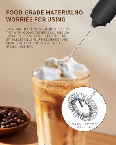 Portable Milk Frother Hanheld