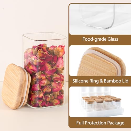 12 Pack 8 oz Square Glass Spice Jars with Lids and Labels (12 Count)