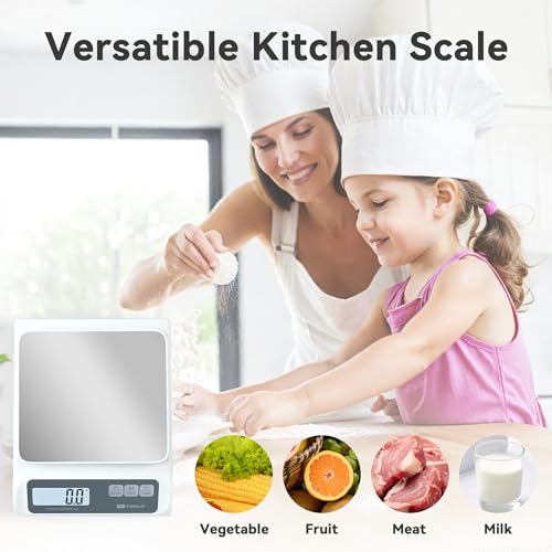 13lb 0.1g Precision Digital Food Scale