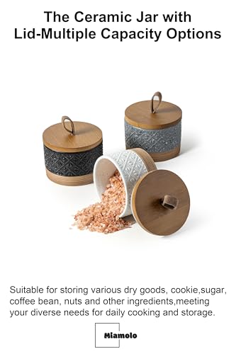 Ceramic Jar with Airtight Lid