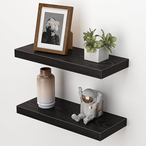 Floating Shelves for Wall (2 Count)