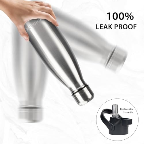 Insulated Water Bottle (2 Count)
