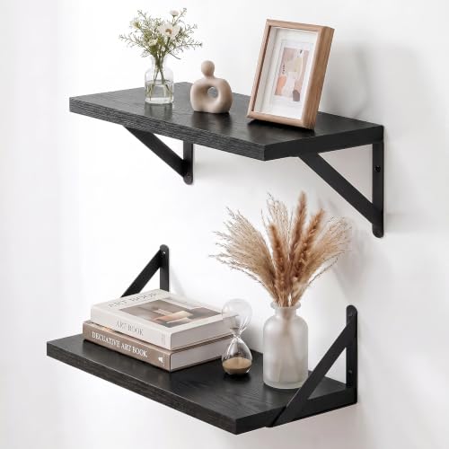 Wall Mounted Floating Shelves Set of 2 (2 Count)