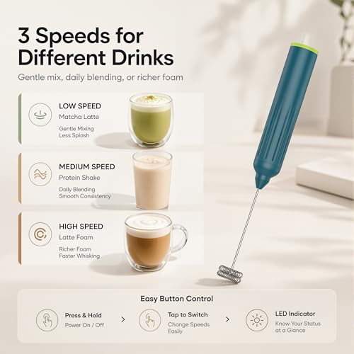Milk Frother Handheld with 3 Stainless Steel Whisks