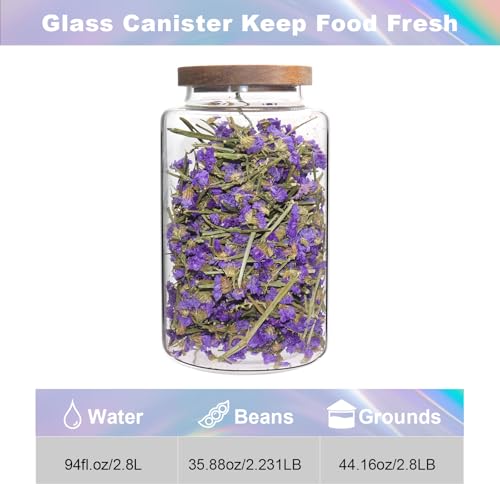 Glass Canister Glass 94oz 1Pack Food Storage Jars With Airtight Lids Borosilicate Glass Coffee Canister Container for Coffee Beans & Grounds Tea Sugar Spices Kitchen