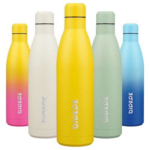 25 oz Insulated Stainless Steel Water Bottle