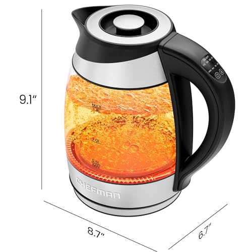 Electric Kettle with Temperature Control