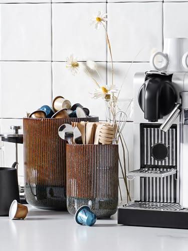 Utensil Holder for Kitchen Counter (2 Count)