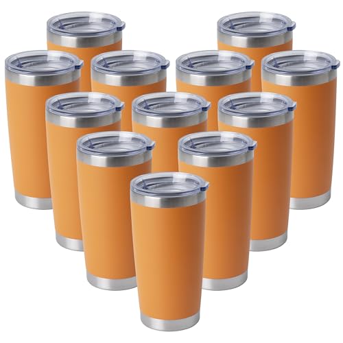 20oz Stainless Steel Tumblers Bulk (12 Count)