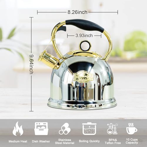 Tea Kettle for Stovetop