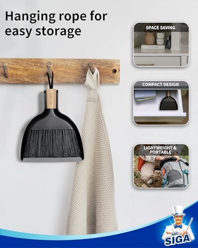 Mini Dustpan and Brush Set