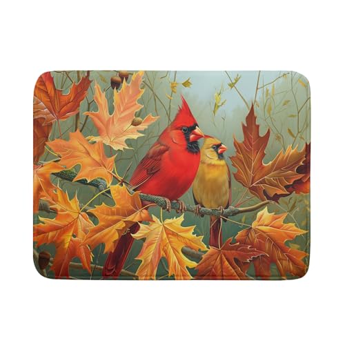 Fall Birds Dish Drying Mat 18x24 Inch Autumn Maple Leaf Tree Dish Drainer Mats Thanksgiving Decorative Microfiber Reversible Dish Drying Rack Pad Large for Kitchen Countertop Tabletop