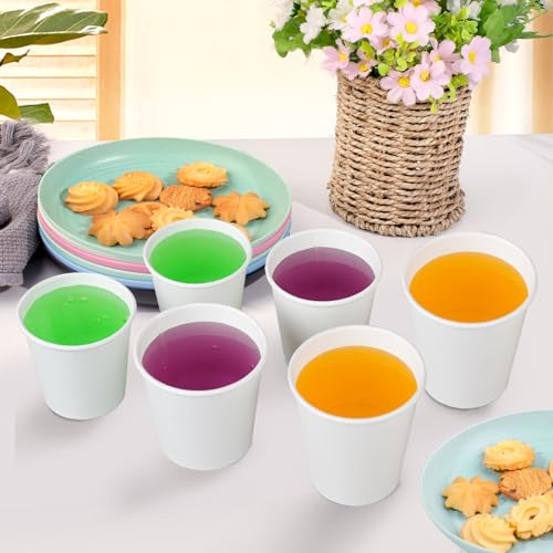 300 Pack 5 oz Paper Cups (300 Count)