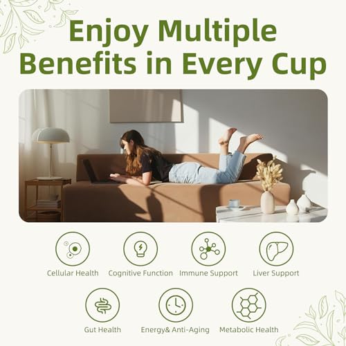 Mushroom Matcha Powder Latte Mix (7.4 Ounce)