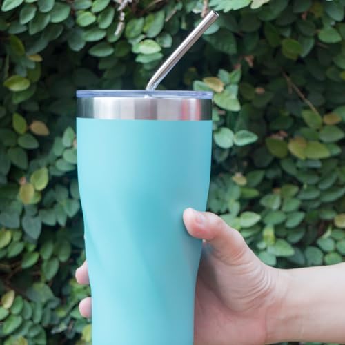 10 Pcs Stainless Steel Straw (12 Count)