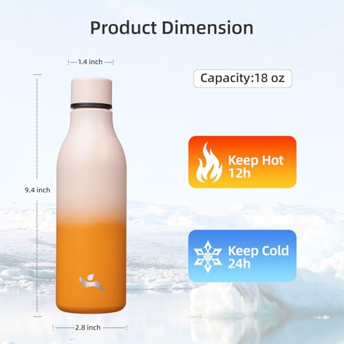18 oz Insulated Stainless Steel Metal Water Bottle with Strap