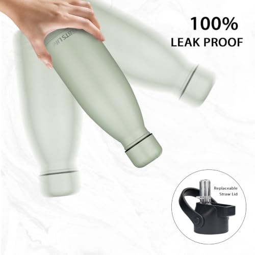 Insulated Water Bottle (2 Count)