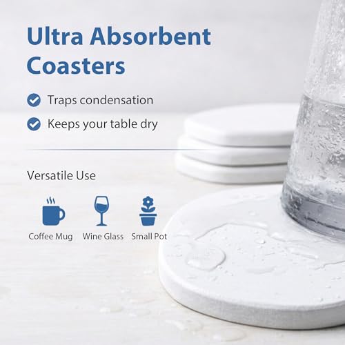 6 Pack Diatomite Absorbent Coasters for Drinks (6 Count)