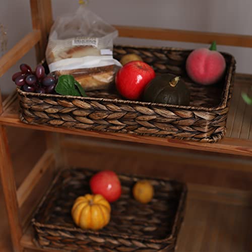 Water Hyacinth Woven Serving Tray Rectangular Hand