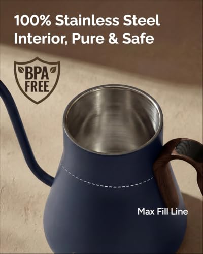 Gooseneck Electric Kettle