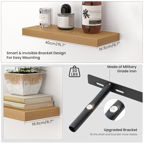 Floating Shelves for Wall (2 Count)