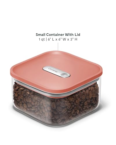 1 qt Glass Airtight Food Storage Container with Lid