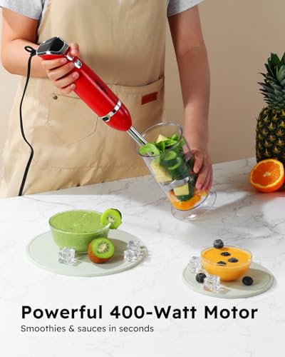 Immersion Blender Handheld