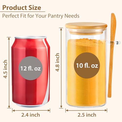12 Pack 10 oz Round Glass Spice Jars with Lids and Spoons (12 Count)