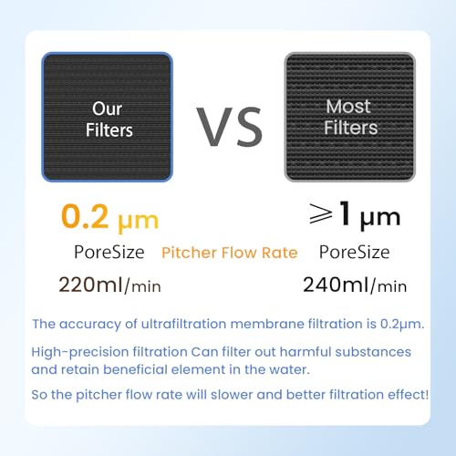 10 Cup Purela Glass Water Pitcher With 2 Filters