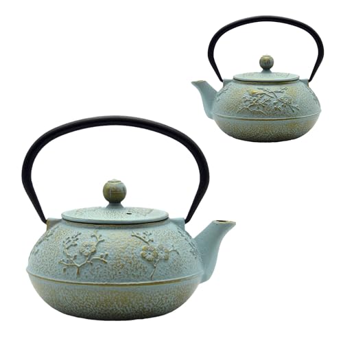 30.4oz Small Cast Iron Tea Kettle