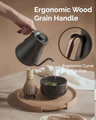 Gooseneck Electric Kettle with Precise ±1℉ Temperature Control