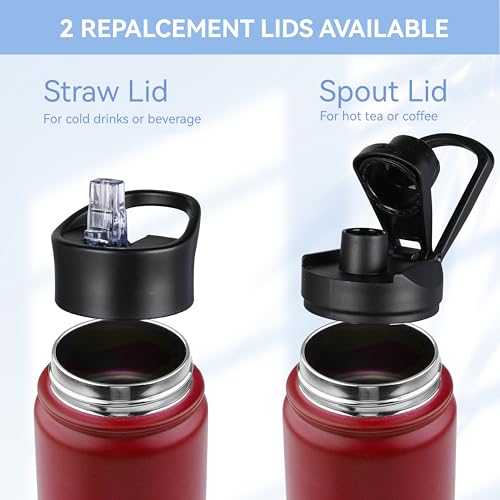 Insulated Water Bottle 22 oz Double Wall Stainless Steel Water Bottle Wide Mouth with Straw Lid & Spout Lid Keeps Cold or Hot