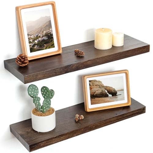 Floating Shelves for Wall Decor (2 Count)