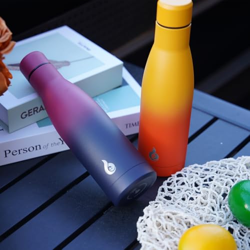 25 oz Insulated Stainless Steel Water Bottle