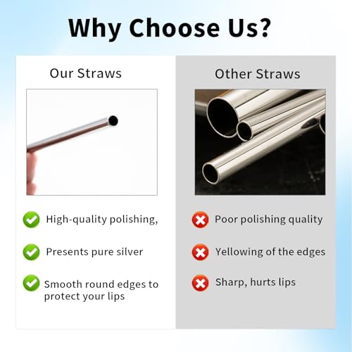 10 Pcs Stainless Steel Straw (12 Count)