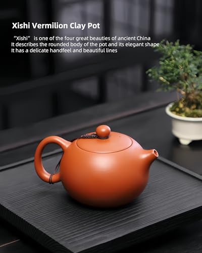 Chinese Clay Teapot Yixing Zisha Tea Pot