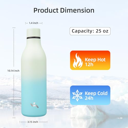 25 oz Insulated Stainless Steel Metal Water Bottle with Strap