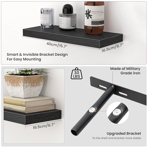 Floating Shelves for Wall (2 Count)