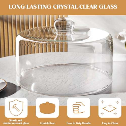 11 Inch Glass Cake Dome Cover