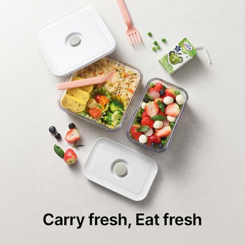 Premium Airtight Food Storage Containers (2 Count)