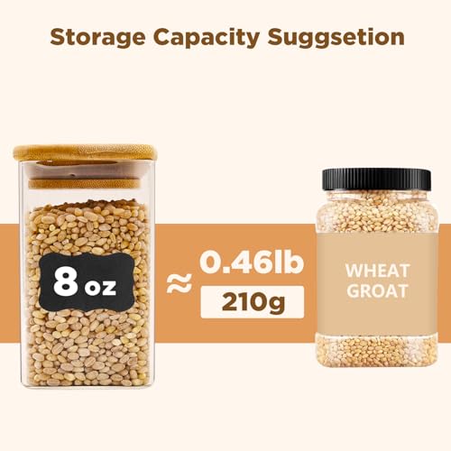 Glass Food Storage Jars Square 8oz (12 Count)