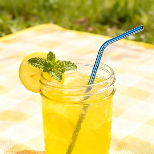 10 Pcs Stainless Steel Straws (10 Count)