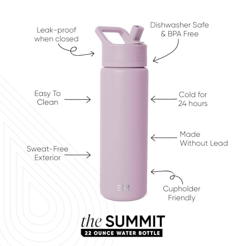 Insulated Water Bottle with Straw