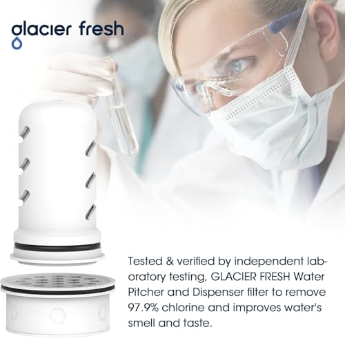 Pitcher Filters Compatible with LifeStraw (2 Count)