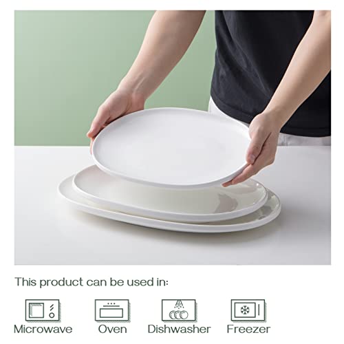Large Serving Platter